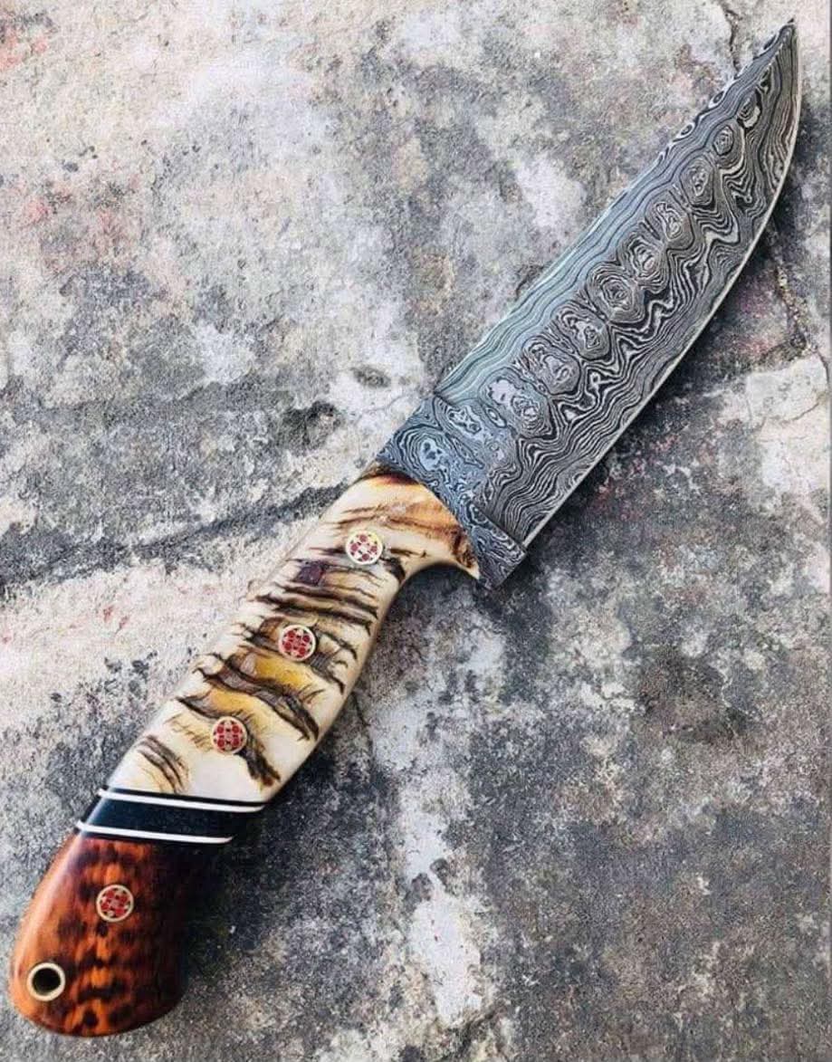 Custom Handmade 11" Damascus Steel Knife - Custom Sheep Horn & wood Handle & Leather Sheath